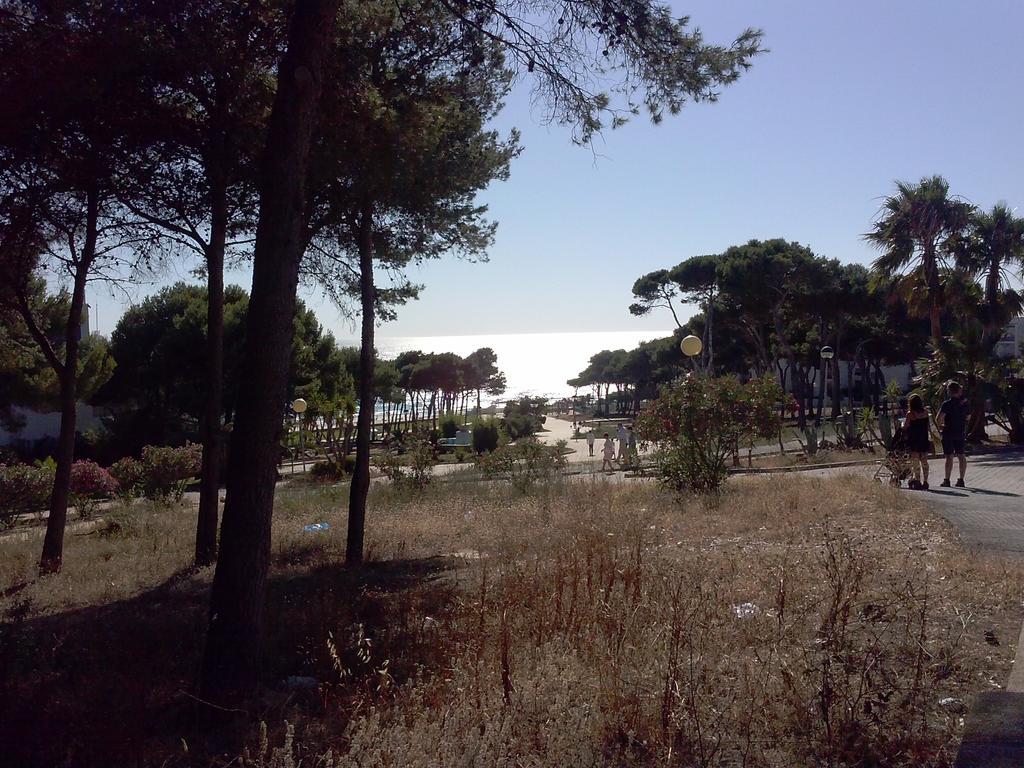Apartamento La Rotonda C-116 Conil De La Frontera Ruang foto